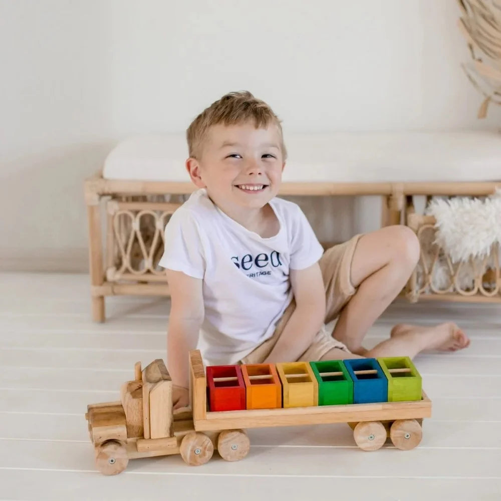 QToys Australia (USA) Sorting container
